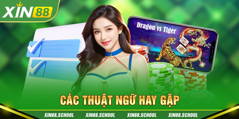 Các thuật ngữ hay gặp