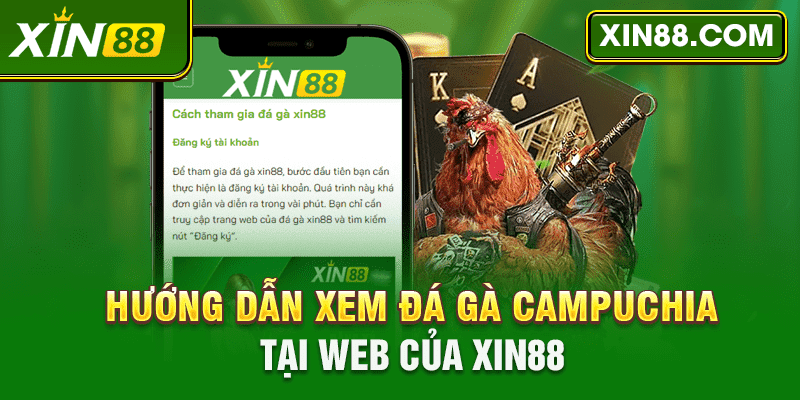 Hướng dẫn xem đá gà Campuchia tại website XIN88