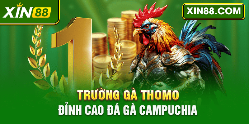 Trường gà Thomo - đỉnh cao đá gà Campuchia